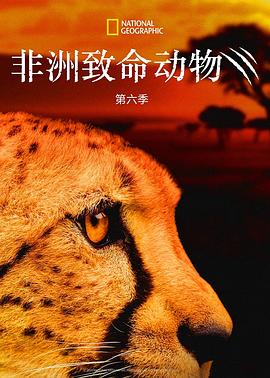 非洲致命动物第六季(全集)