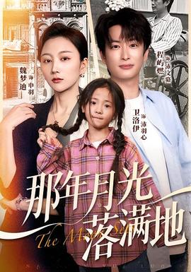 那年月光落满地(全集)