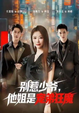 别惹少爷，他姐是宠弟狂魔(全集)