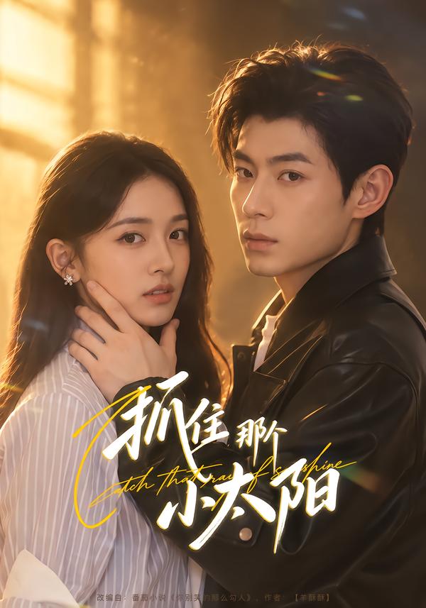 抓住那个小太阳(全集)